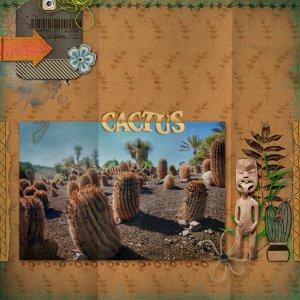 19-Cactus.jpg