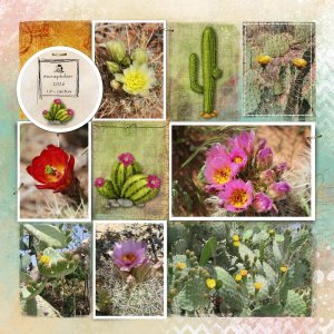 #19 Cactus - Scraptober 2026
