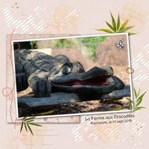 2018 La ferme aux Crocodiles .jpg