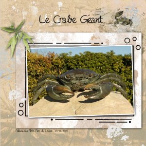 2023 Palavas les Flots Crabe.jpg