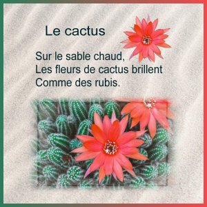 J-s387 - LE CACTUS.jpg