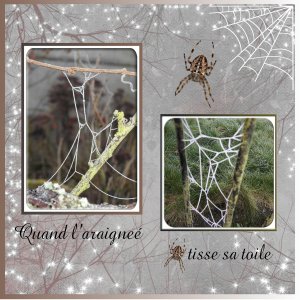 J-s396 - QUAND L'ARAIGNEE TISSE SA TOILE.jpg