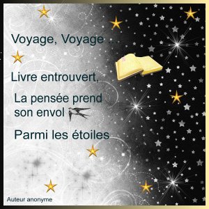 J-s401 - VOYAGE VOYAGE.jpg
