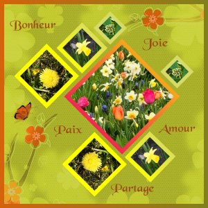 J-s403 - JOIE BONHEUR.jpg