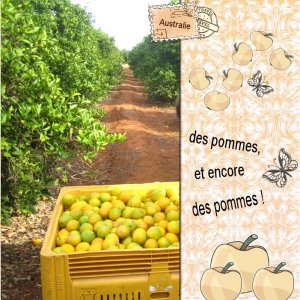 2026 Scraptober 2026 Jour 27 Pommes Australie pommes.jpg