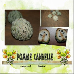 Pomme cannelle