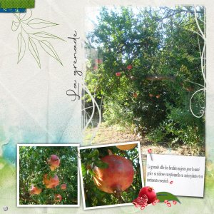 27 fruit