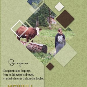 29 vache
