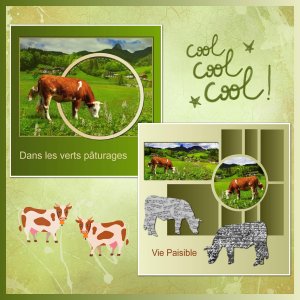 J-s407- COOL COOL COOL.jpg
