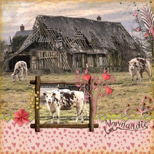 29-Vache.jpg