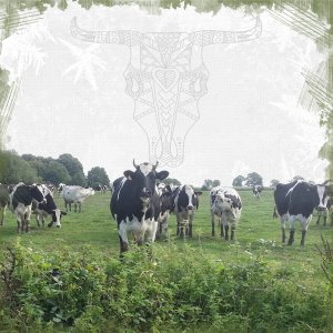 Scraptober 2026.29. Vache.jpg