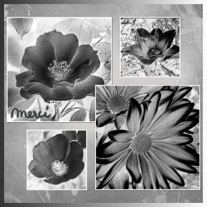 J-s412 - MERCI.jpg