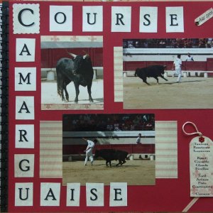 Course Camarguaise