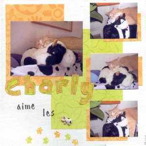 Charly aime les vaches...