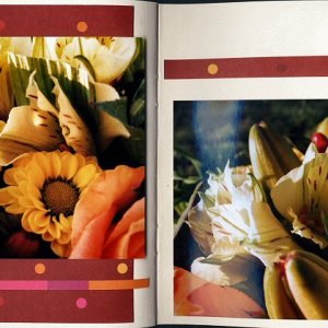 bouquet-pages15-16