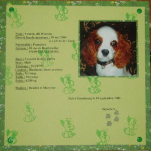 Carte d'identité canine