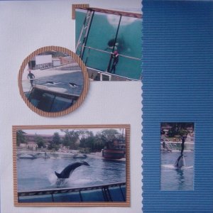 Les orques de Marineland (partie 2)