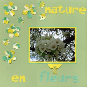 nature en fleurs