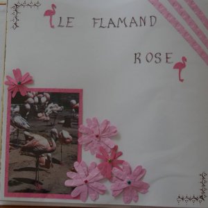 flamands roses