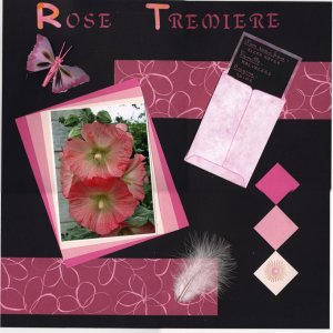 Rose trémière - mise en page 2