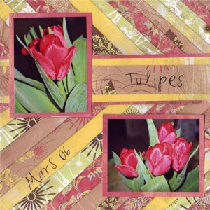 Bargello - Les Tulipes