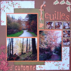 Feuilles d'automne