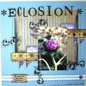 ECLOSION