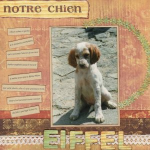 Eiffel, notre chien