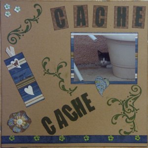 Cache cache