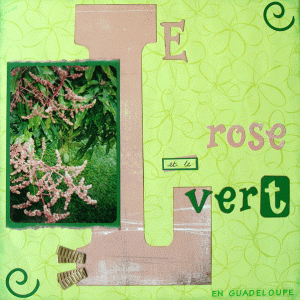 Le rose et le vert...