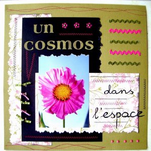 un cosmos