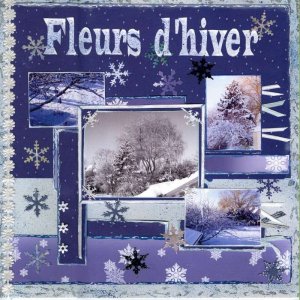 Fleurs d'hiver