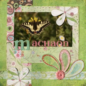 Machaon