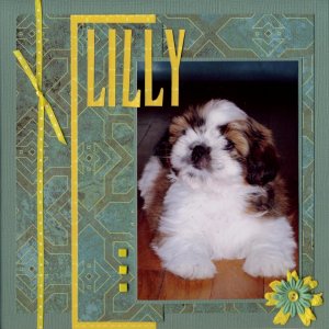 Lilly