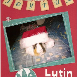 page 040 - Lutin Fidji