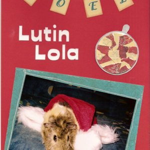 page 041 - Lutin Lola