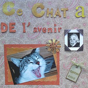 chat  et  Einstein