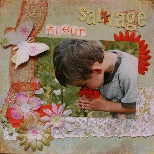 fleur sauvage