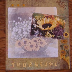 Tournesols