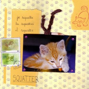 S comme squatter