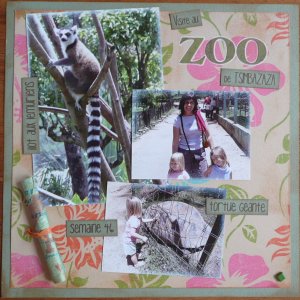Visite au zoo de Tsimbazaza (semaine 46)