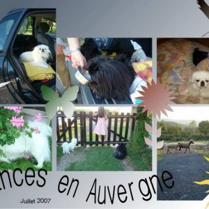 En Auvergne