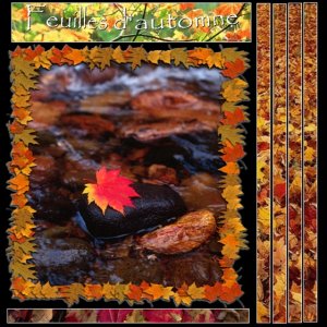 Feuilles d'automne