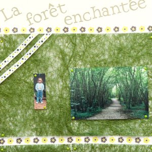 FORÊT ENCHANTÉE