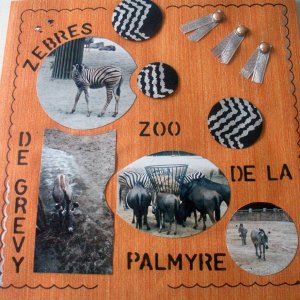 Zoo de la Palmyre (Charente Maritime - 17)