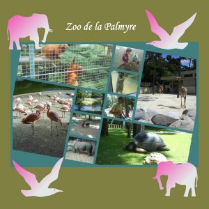 photos_zoo_de_la_palmyre1