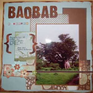 babobab elephant