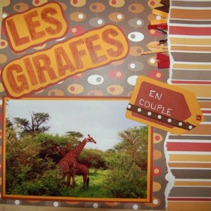 girafes 1