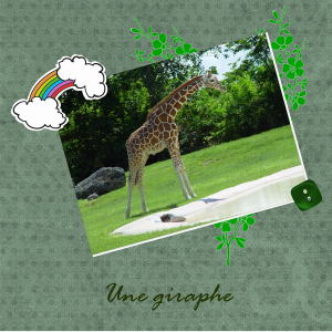 Redimensionnement_de_giraphe