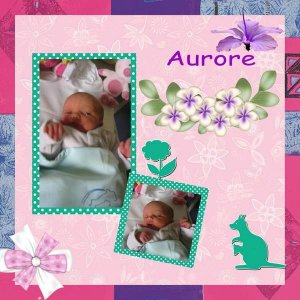 Aurore2